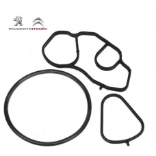 Oil Filter Housing/Cooler Gasket (1613571980/1103 P8)